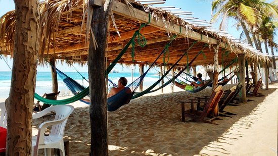 Brisas hammocks