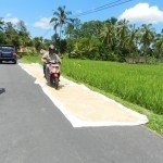 Bali Bike 33