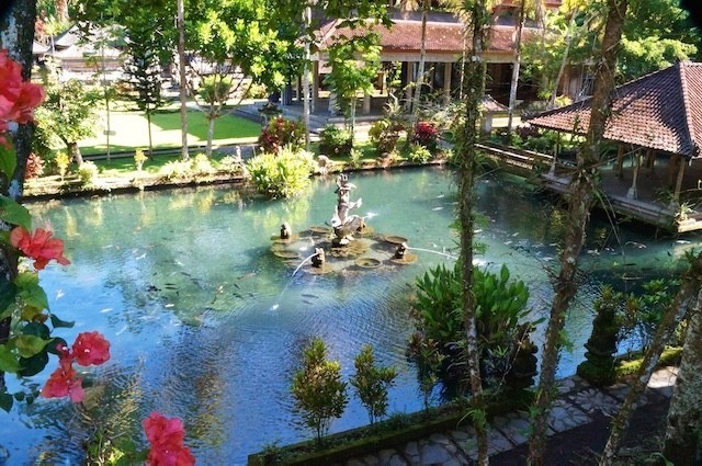 Bali, Holy Water, Rice Fields, Terraces