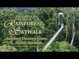Rainforest Skywalk