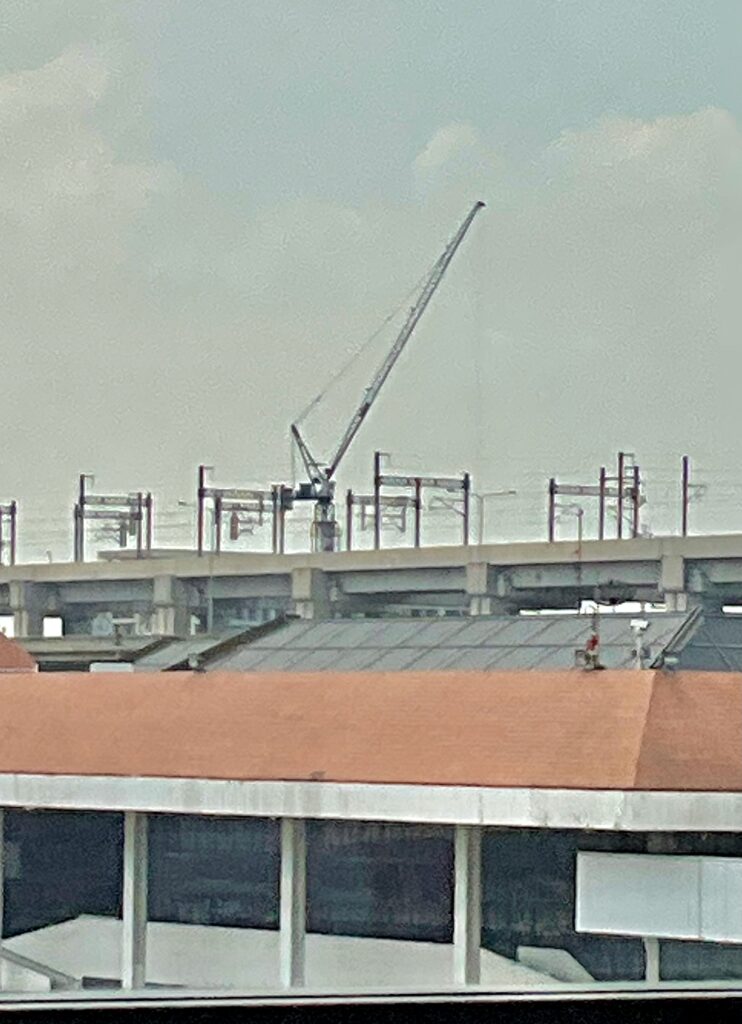 State Bird of Singapore, the "crane"