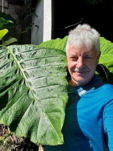 "Umbrella" plant and Larry