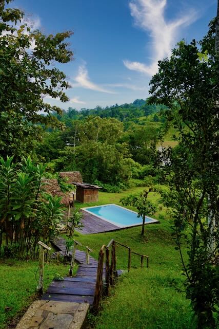 On the Rio San Juan, Guicamo Lodge, surrounded by green!